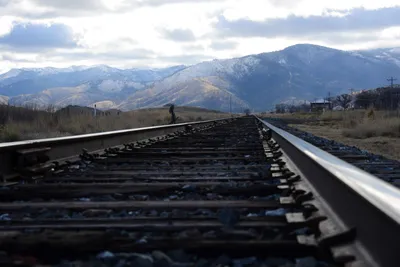 DSC_2889 (Large).JPG